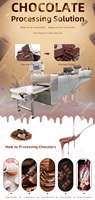 Vente d'usine LFM : Machine de fabrication de chocolat et de liqueur de cacao pour petite ligne de production
