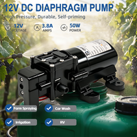Mini pompe à eau électrique à diaphragme DC intelligente 12V haute pression pour l'irrigation agricole
