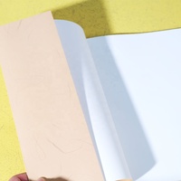 Impresión de Cajas Personalizadas, Película de Laminación Mate CMYK, Estampado en Caliente, Encuadernación Perfecta, Tapa Blanda, Cartón Offset, Libro para Colorear con Recubrimiento