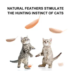 Hot Sell Plastic Pet Teaser Toy Interactive Bird Feather Cat Wand Kitty Teaser