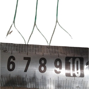 3/4 inch gà dây lưới đôi <span class=keywords><strong>knotless</strong></span> <span class=keywords><strong>Monofilament</strong></span> chim lưới cho trái cây bảo vệ chim <span class=keywords><strong>Net</strong></span> cho gà Coop vườn - Product Image 1