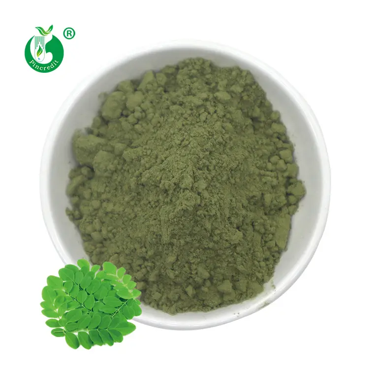 Polvere di foglie di Moringa sfusa naturale pura di alta qualità all'ingrosso