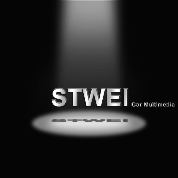 Hong Kong STWEI Technology Electronics Co., Limited logo