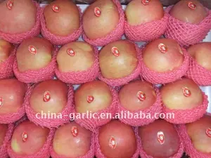 Freschi di Apple di Frutta Prezzo dalla Cina