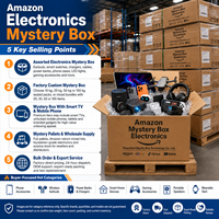 Kotak Misterius Elektronik Hot Mysterious Box, Lot Likuidasi Konsol Game Genggam, Mini PC, Speaker Stereo untuk Pengecer Pasar Malam