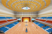Diseño de Sistema Acústico Modular para Pistas Deportivas Interiores, Suministro de Materiales, Paneles de Pared, Deflectores de Techo, Difusión de Sonido, Reverberación