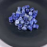 Vendeur chaud Sodalite Single Flare Plug avec rainure bouchons d'oreille Tunnel percé pierre naturelle Piercing bijoux en gros