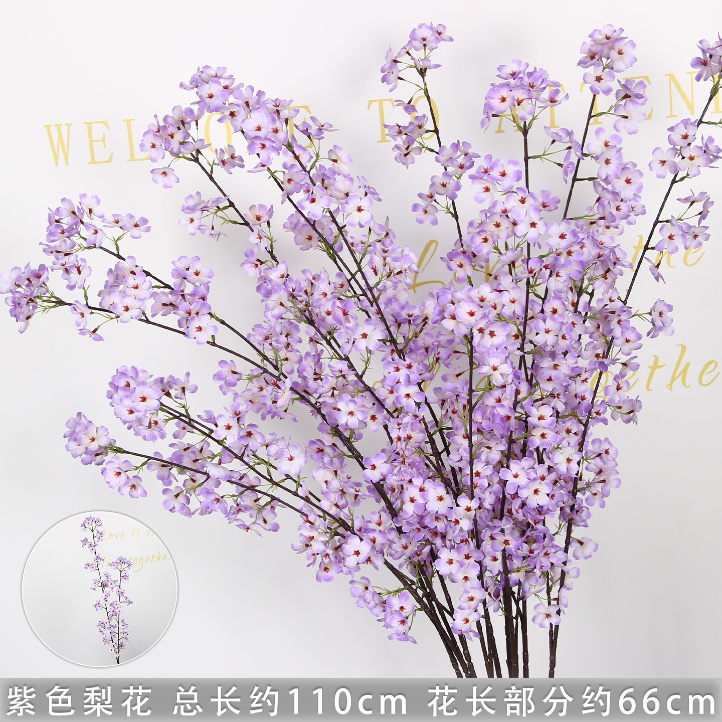 Branche de fleur de poirier violet