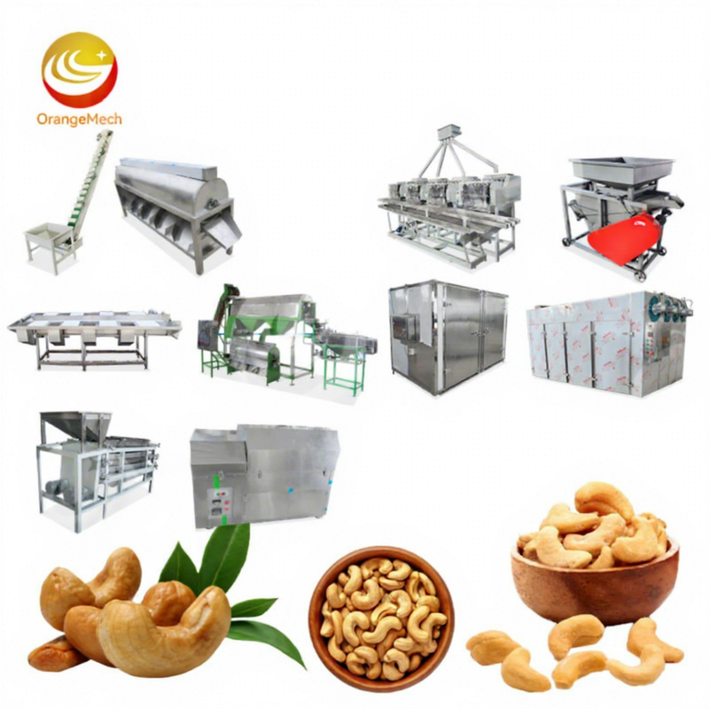 ORME Complete Full Automatic Raw Cashew