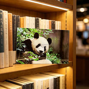 Cartes postales lenticulaires 3D personnalisées imperméables, effet de profondeur 3D, carte <span class=keywords><strong>Panda</strong></span>, design animal et paysage, souvenirs de voyage, cadeaux promotionnels - Product Image 6