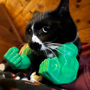 Giocattolo da Collo per Animali Domestici a Forma di Braccio Muscoloso Stile Hulk Stampato in 3D, per Cani di Piccola Taglia, Gioco Interattivo, Accessorio da Appendere, Costume, Ornamento per Gatti e Animali Domestici - Product Image 1