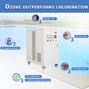 Tratamiento de agua reciclado de natación de alta calidad 100g generador de ozono para piscina sin <span class=keywords><strong>cloro</strong></span> - Product Image 4