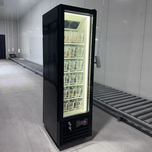 Congélateur vertical commercial à porte vitrée, réfrigérateur de présentation profond pour supermarché, restaurant, stockage d'aliments surgelés - Product Image 6