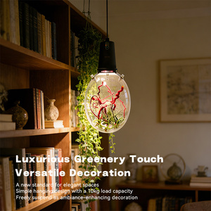 Lampe de culture <span class=keywords><strong>LED</strong></span> à spectre complet pour plantes, hauteur réglable, minuterie automatique, fixation murale, écologique, pour micro-paysages intérieurs - Product Image 2
