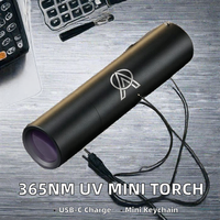 Senter UV 365nm Aluminium Alloy Logo Dapat Disesuaikan Mini USB-C Isi Ulang IP44 6h Hitam Cermin Gantungan Kunci