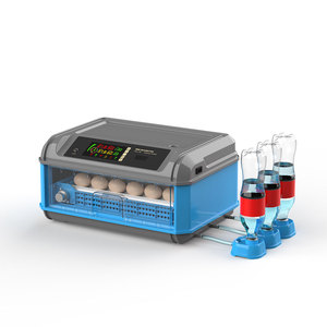 Incubateur de poulet personnalisé 100 œufs incubateur de poulet solaire avec le meilleur <span class=keywords><strong>prix</strong></span> approvisionnement d'usine direct - Product Image 5