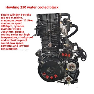 Nuevo Motor de Triciclo Tsunami de 250cc <span class=keywords><strong>200cc</strong></span>, Doble Refrigeración por Agua, 4 Tiempos, Encendido CDI, Arranque Eléctrico, para ATV y Motocicleta - Product Image 2