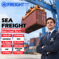 FCL-Versand FBA-Lager FBA-Lieferung China Europa USA Kanada Australien Mexiko Deutschland Zollabgabepflichtig Spedition Flughafentransfer