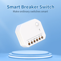 Universal 10A Smart Wifi Interruptor de pared Tuya Interruptores de control remoto con certificación CE FCC