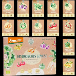 Selección Biológica de Legumbres Históricas para Macetas y Jardineras - Product Image 6