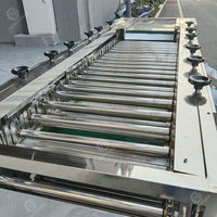 Automatische Fruitgroenteverwerkingsmachine Voor Sorteermachines Voor Het Sorteren Van Kersenformaat Sorteermachine