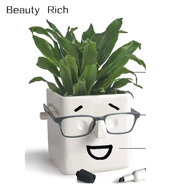 Gezicht Plant Novelty Planter Dat Houdt Planten Bril & U Kan Op Tekenen. Elegante Keramische Vaas Voor Vetplanten, Bloempot