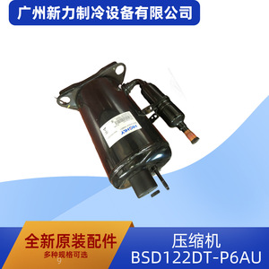 Compresseur de climatisation haute performance BSD122DV H3BD1 220-240V R134a pour réparation et remplacement - Product Image 4