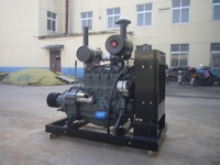Moteur électrique 50cc refroidi par eau, démarrage électrique, nouveau moteur électrique R6113ZLG avec embrayage WPT