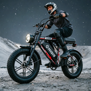 Vélo Électrique Tout-Terrain à Pneus Larges 250W, Moteur Arrière, Batterie Lithium Amovible 48V, <span class=keywords><strong>VTT</strong></span> Adulte pour Déplacements Quotidiens sur Routes Rurales, Vente en Gros - Product Image 1