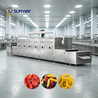 Enkelvoudige tunnelmagnetron fruitdroogmachine continue magnetron-dehydrator sterilisator voor de verwerking van gedroogd fruit