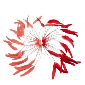 Oferta Económica: Pluma Grande de Gallo <span class=keywords><strong>para</strong></span> Disfraces de Carnaval, Tocados de Showgirl, Sombreros de Sombrerería y Decoración DIY - Product Image 1