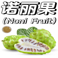 100% Zuiver Natuurlijk Fruitpoeder Noni Fruitextract Poeder Spraygedroogd Noni Fruitpoeder