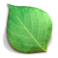 Cadeau de fête des mères en peluche feuille oreiller coussin mignon en peluche doux en forme de fleur oreiller