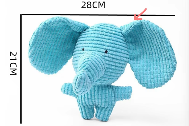 Petit éléphant