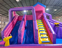 Toboganes Inflables de Agua Alibaba, Castillo Inflable con Tobogán, Tobogán Inflable Rosa