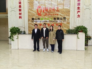 Olio Siliconico Industriale Lubrificante Chimico <span class=keywords><strong>100</strong></span>% Organico ad Alta Purezza 3000mpa.s Marca Qiangli Fornito dal Produttore - Product Image 6