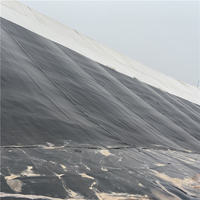 Géomembrane HDPE de 2 mm pour bassins de solutions de cyanure, finition texturée, résistante aux perforations, certifiée CE