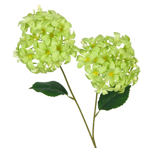 Bouquet de fleurs d'hortensia artificielles, branche unique, fleurs en soie plastique pour la décoration de la maison et des mariages, style Instagram Forêt Française - Product Image 2