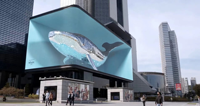 Écran d'affichage publicitaire LED couleur pleine haute luminosité de marque CMX, étanche IP65, mur vidéo numérique personnalisable P4/P5