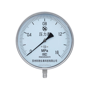 Manomètre en acier inoxydable Xuansheng Y200, 200 mm, précision 1,6, connexion filetée pour chaudières à vapeur - Product Image 1