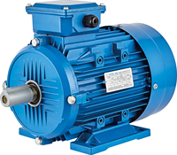 Moteur électrique triphasé asynchrone à haut rendement YE2-634-4 (0,37 kW)