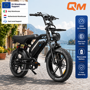 Bicicleta eléctrica urbana QMHEEL V20 Limited 48V con batería de litio, bicicleta de montaña eléctrica, fat bike, distribuidor en Italia. - Product Image 1