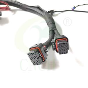 LS1/6 (24X/1X) エンジンメイン配線ハーネス HP EFI および Dominator EFI 用 558-102 - Product Image 2