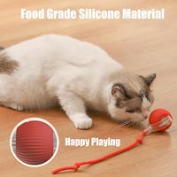 ZMaker Nouveau Design 360° Balle Interactive Intelligente Automatique pour Chien et Chat, Jouet Roulant avec Chargeur USB