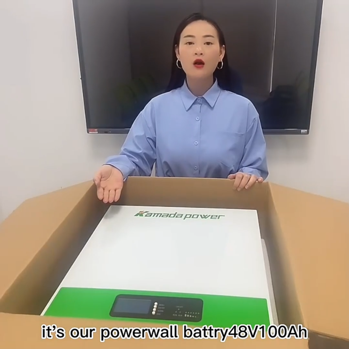 Custom Lifepo4 48v 200ah Tesla Powerwall 10kwh Lithium Ion Battery ...