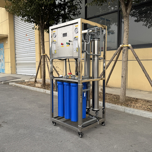 Depuratore d'Acqua RO Compatto da 250LPH per Piccole Fabbriche, Ristoranti e Produzione di Acqua Pura, Facile Installazione - Product Image 2