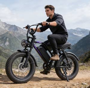 Vélo de montagne électrique tout-terrain, 48V500W, sept vitesses, pneus larges, absorption des chocs, batterie au lithium, feux avant et arrière - Product Image 1