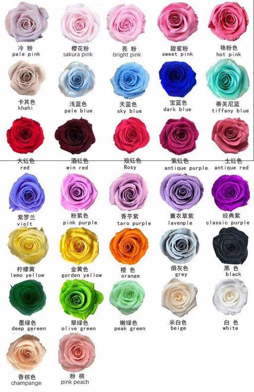 Scegli il colore rosa