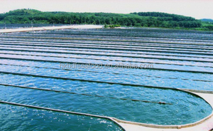 Phycocyanine naturelle issue de l'algue marine, produit agricole, pigment alimentaire - Product Image 6