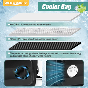 15L Portable Cooler Bag Car Cooler Watertight Liner Bag Soft Sided Thermoelectric Travel Cooler with Shoulder Strap - Product Image 3